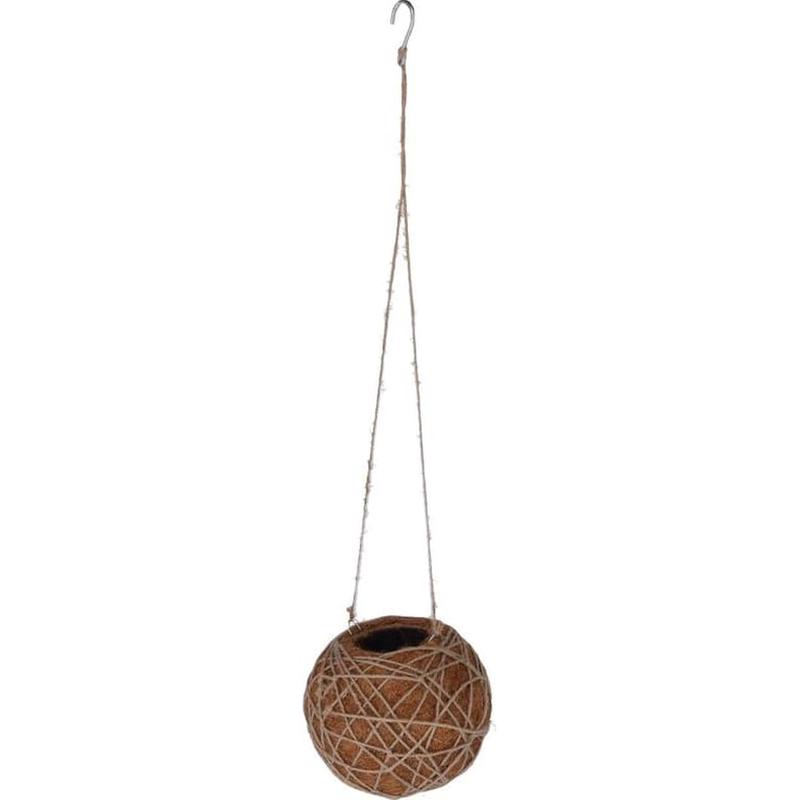 Botanicals Collection Kokedama Indoor Plant Hanger Large