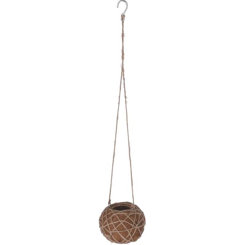 Botanicals Collection Kokedama Indoor Plant Hanger Small