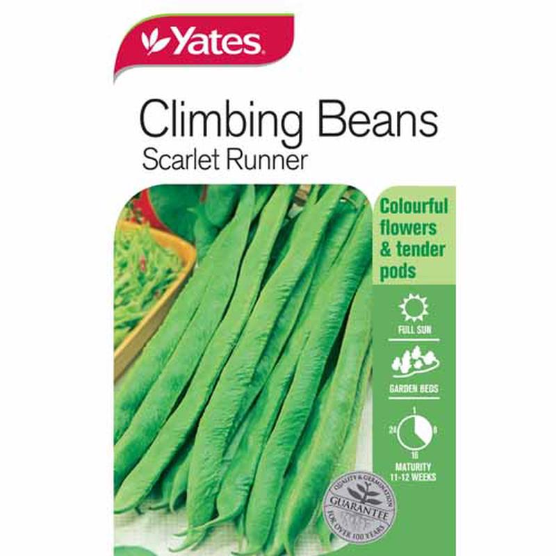 Yates Vegetable Seed Beans Scarlet Runner Climbing