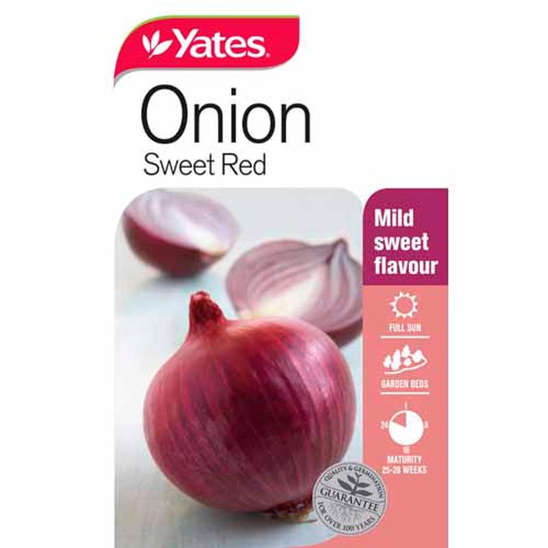 Yates Vegetable Seed Onion \'Sweet Red\'