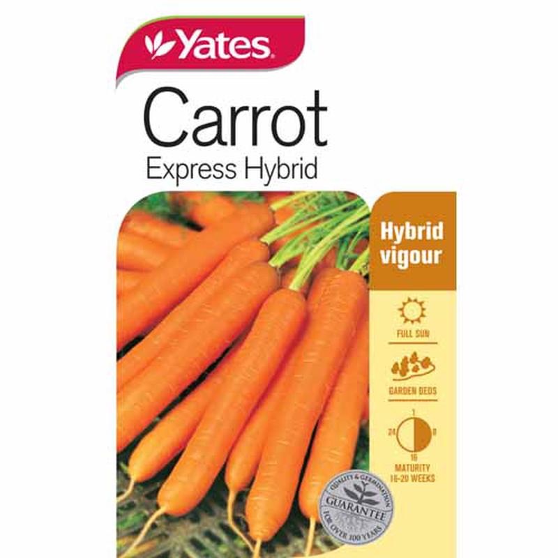 Yates Vegetable Seed Carrot \'Express\' Hybrid