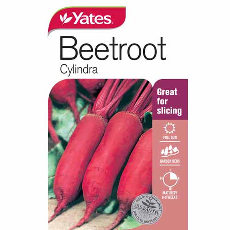 Yates Vegetable Seed Beetroot Cylindra