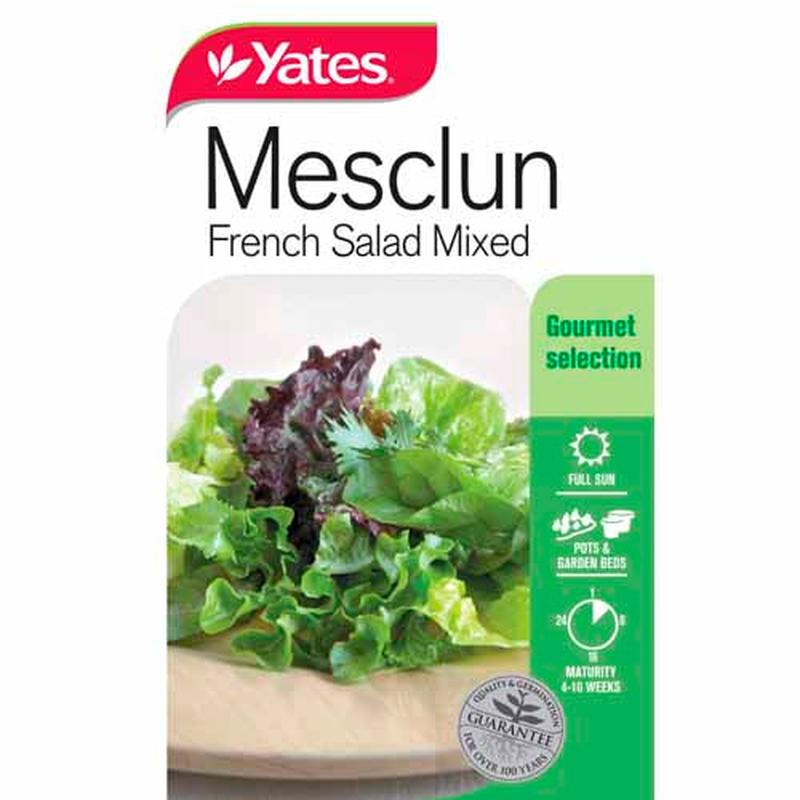 Yates Vegetable Seed Mesclun French Salad