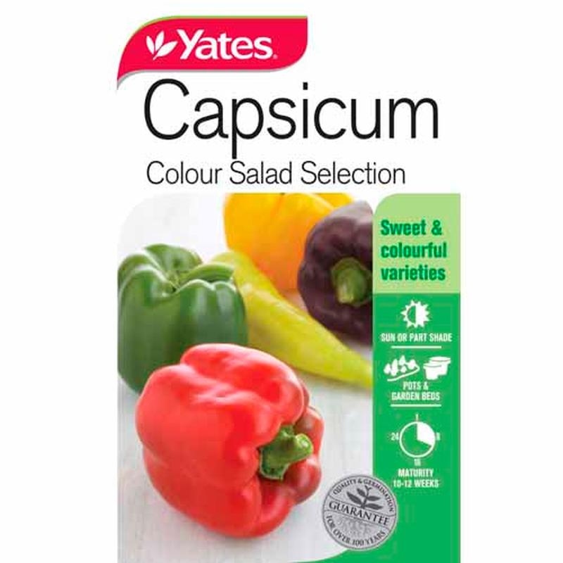 Yates Vegetable Seed Capsicum \'Colour Salad Selection\'