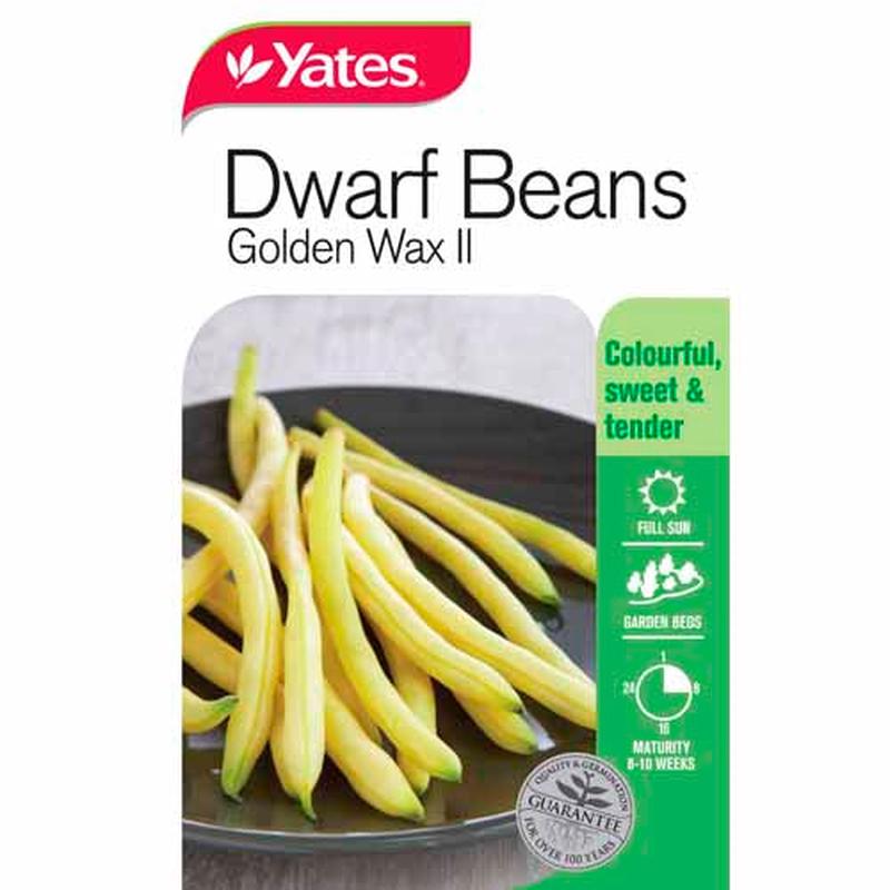Yates Vegetable Seed Beans Golden Wax Dwarf Variety