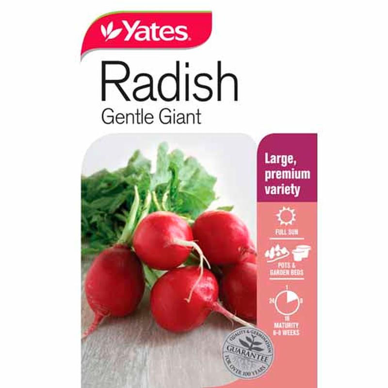Yates Vegetable Seed Radish \'Gentle Giant\'