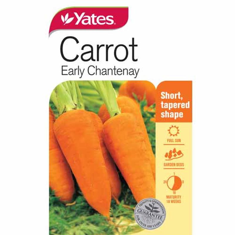 Yates Vegetable Seed Carrot \'Early Chantenay\'