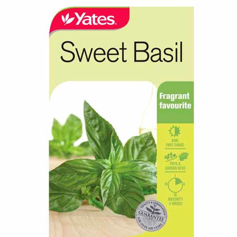Yates Herb Seed Basil Sweet