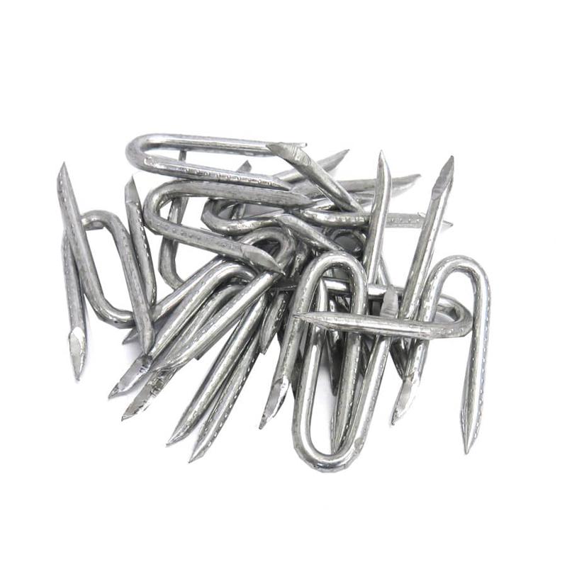 1-1/2\" Galvanized Fence Staples - 50 Pack